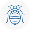 Bed Bug Extermination In Shirebrook